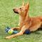 Show in main carousel: Mammoth Braided Tug with Tennis Ball for Dogs, Color Varies, Small slide 3 of 9