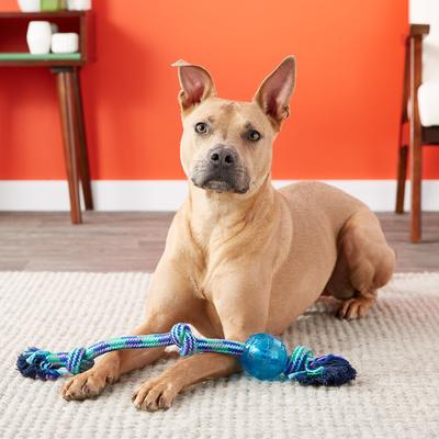 Show full view: Mammoth Braided Tug with TPR Ball for Dogs, Color Varies, Large slide 2 of 8
