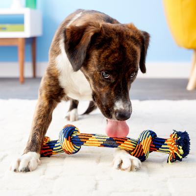 Show full view: Mammoth Braidys 2 Knot Rope Bone for Dogs, Color Varies, Large slide 2 of 7