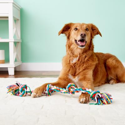 Show full view: Mammoth Cloth Rope Tug for Dogs, Color Varies, Large slide 3 of 11