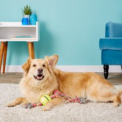 Mammoth Color 3 Knot Rope Tug with Tennis Ball for Dogs, Color Varies, Medium slide 2 of 8