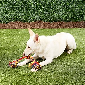 Mammoth Cottonblend 3 Knot Dog Rope Toy, Color Varies, Large