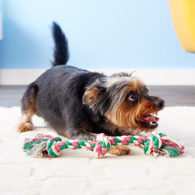 Show full view: Mammoth Cottonblend 3 Knot Dog Rope Toy, Color Varies, Small slide 3 of 9