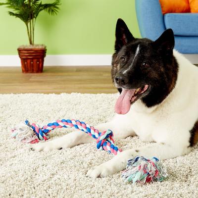 Show full view: Mammoth Cottonblend 3 Knot Dog Rope Toy, Color Varies, X-Large slide 2 of 7