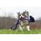 Show in main carousel: Mammoth Cottonblend 5 Knot Dog Rope Toy, Color Varies, X-Large slide 4 of 9