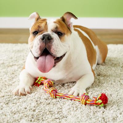 Show full view: Mammoth Knot Tug for Dogs, Color Varies, Small slide 3 of 8