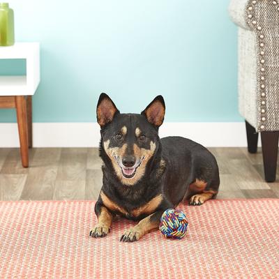 Show full view: Mammoth Monkey Fist Ball for Dogs, Medium slide 3 of 9