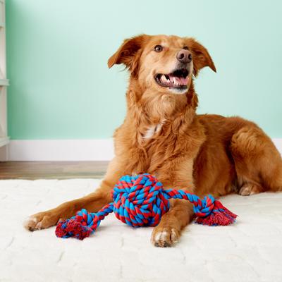 Show full view: Mammoth Monkey Fist Ball & Rope Ends Dog Toy, Large slide 2 of 8