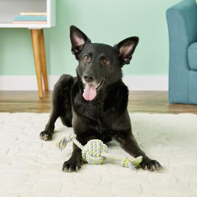 Show full view: Mammoth Monkey Fist Ball & Rope Ends Dog Toy, Small slide 2 of 8