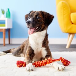 Mammoth Monkey Fist Bar Dog Toy, Color Varies, Small slide 2 of 4