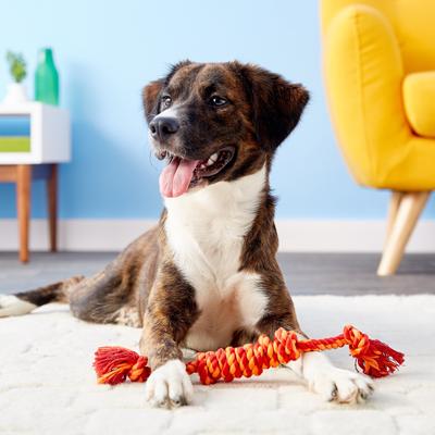 Show full view: Mammoth Monkey Fist Bar Dog Toy, Color Varies, Small slide 2 of 7