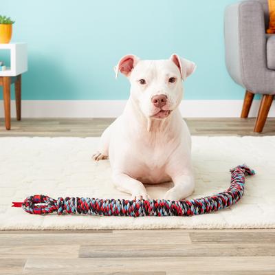 Show full view: Mammoth SnakeBiter Snake Rope Dog Toy, Color Varies, Large slide 5 of 10