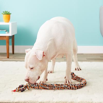 Show full view: Mammoth SnakeBiter Snake Rope Dog Toy, Color Varies, Medium slide 4 of 9