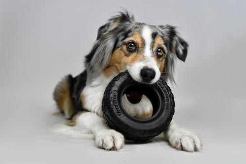 Show full view: Mammoth Tirebiter II Dog Toy, Medium slide 4 of 10