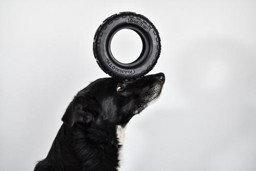 Show full view: Mammoth Tirebiter II Dog Toy, Medium slide 6 of 10