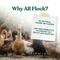 Show in main carousel: Manna Pro 16% All Flock Crumbles with Probiotics Chicken & Duck Food, 25-lb bag slide 5 of 10