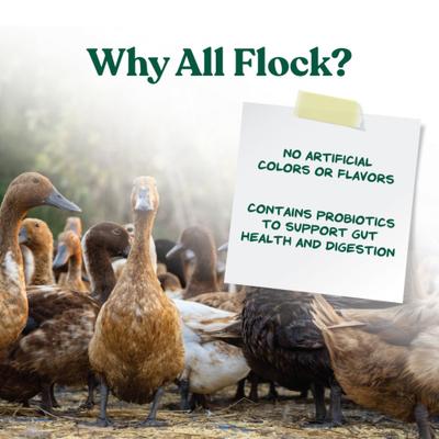 Show full view: Manna Pro 16% All Flock Crumbles with Probiotics Chicken & Duck Food, 25-lb bag slide 5 of 10