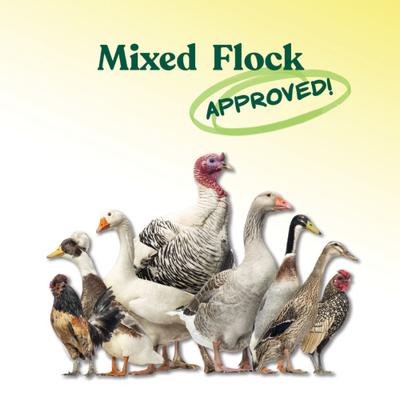 Show full view: Manna Pro 16% All Flock Crumbles with Probiotics Chicken & Duck Food, 25-lb bag slide 4 of 10