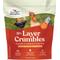 Show in main carousel: Manna Pro 16% Layer Crumbles with Probiotics Chicken Food, 8-lb bag slide 1 of 8