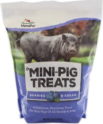Manna Pro Berries & Cream Flavor Mini-Pig Treats, 4-lb bag