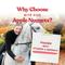 Show in main carousel: Manna Pro Bite-Size Nuggets Apple Flavored Horse Training Treats, 1-lb bag slide 4 of 11