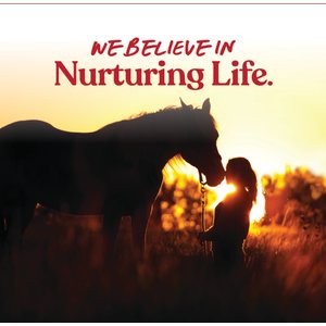 Manna Pro Bite-Size Nuggets Apple Flavored Horse Training Treats, 1-lb bag