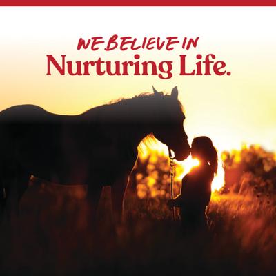 Show full view: Manna Pro Bite-Size Nuggets Apple Flavored Horse Training Treats, 1-lb bag slide 9 of 11