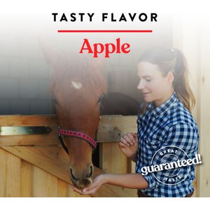 Manna Pro Bite-Size Nuggets Apple Flavored Horse Training Treats, 4-lb bag