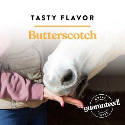 Show full view: Manna Pro Bite-Size Nuggets Butterscotch Flavored Horse Training Treats, 4-lb bag slide 5 of 10