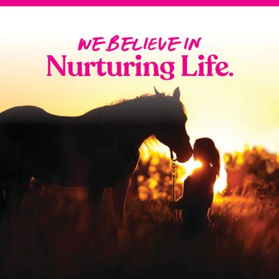 Show full view: Manna Pro Bite-Size Nuggets Peppermint Flavored Horse Training Treats, 1-lb bag slide 9 of 11