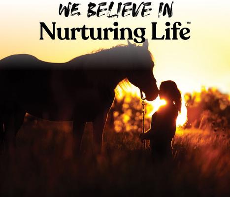 Show full view: Manna Pro Bite-Size Nuggets Peppermint Flavored Horse Training Treats, 4-lb bag slide 6 of 10