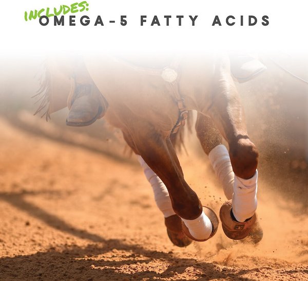 Panacur Powerpac Fenbendazole 10% Paste Horse Dewormer