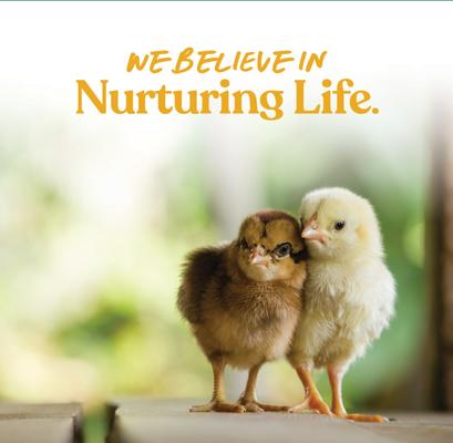 Show full view: Manna Pro Chick Grit with Probiotics Chicken, 5-lb bag slide 8 of 11