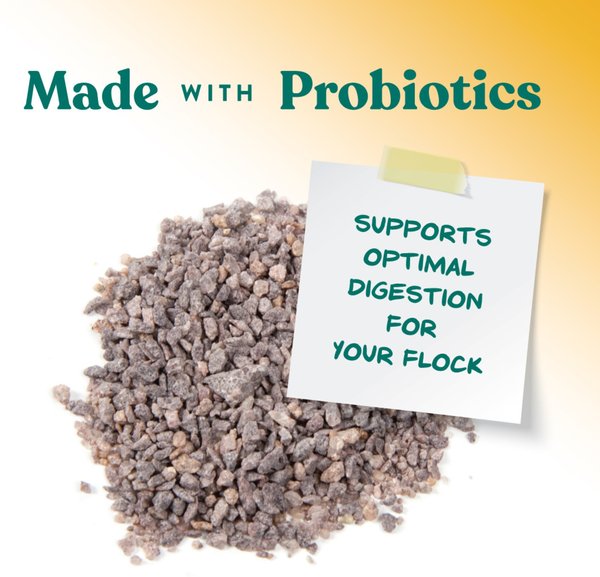 Show full view: Manna Pro Chick Grit with Probiotics Chicken, 5-lb bag slide 4 of 11