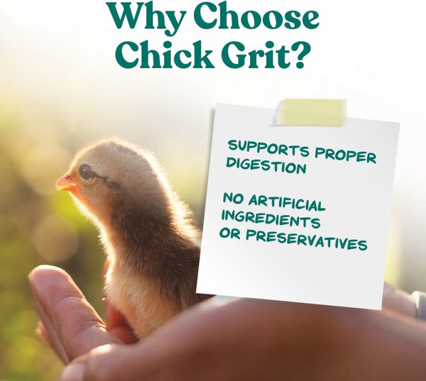 Show full view: Manna Pro Chick Grit with Probiotics Chicken, 5-lb bag slide 3 of 11