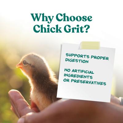 Show full view: Manna Pro Chick Grit with Probiotics Chicken, 5-lb bag slide 3 of 11