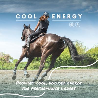 Show full view: Manna Pro Cool Calories 100 Healthy Weight Gain Equine Dry Fat Horse Supplement, 8-lb bag slide 5 of 9