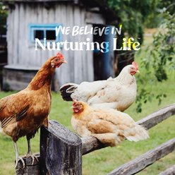 Manna Pro Coop-N-Compost Odor Neutralizer, 28-oz bag slide 2 of 7