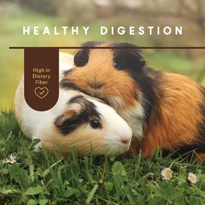 Show full view: Manna Pro Crafted & Complete Guinea Pig Food, 5-lb bag slide 5 of 6