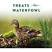 Show in main carousel: Manna Pro Duck Discs Waterfowl Duck Treats, 16-oz bag slide 4 of 9