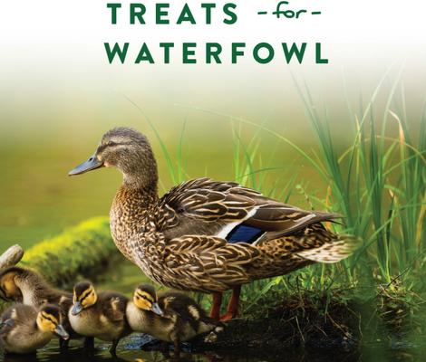 Show full view: Manna Pro Duck Discs Waterfowl Duck Treats, 16-oz bag slide 4 of 9