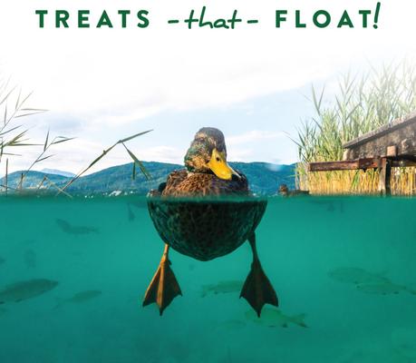 Show full view: Manna Pro Duck Discs Waterfowl Duck Treats, 16-oz bag slide 6 of 9