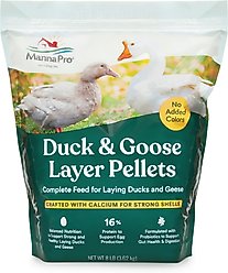 Manna Pro Duck Layer Pellets Duck Food, 8-lb bag