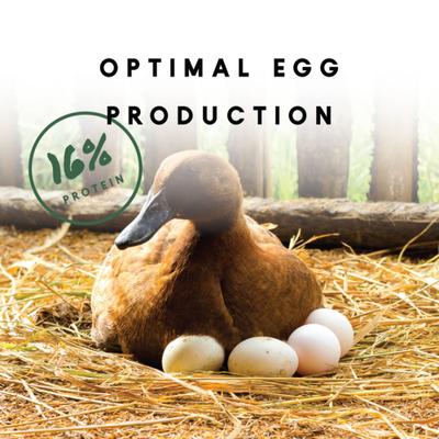 Show full view: Manna Pro Duck Layer Pellets Duck Food, 8-lb bag slide 3 of 8