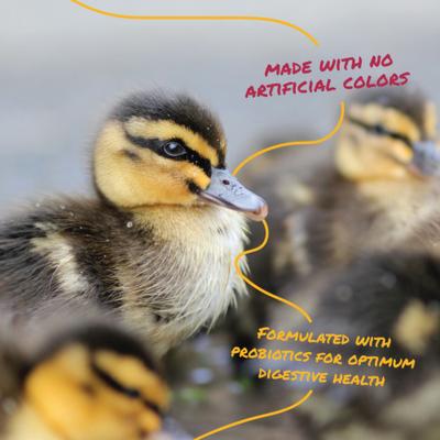 Show full view: Manna Pro Duck Starter Grower Crumbles Duck Food, 25-lb bag slide 5 of 8