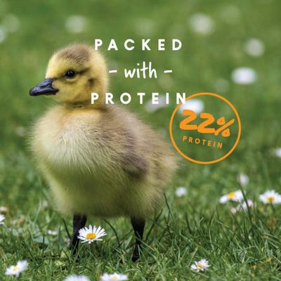 Show full view: Manna Pro Duck Starter Grower Crumbles Duck Food, 8-lb bag slide 4 of 8