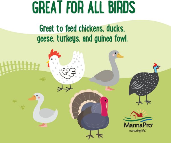 Show full view: Manna Pro Farmhouse Favorites Critter Combo Crunch Chicken Treats, 25-oz bag slide 5 of 7