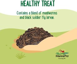 Manna Pro Farmhouse Favorites Double Bug Mix Chicken Treats, 2-lb slide 2 of 7