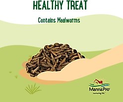 Manna Pro Farmhouse Favorites Mealworms Chicken Treats, 10-oz bag slide 2 of 7