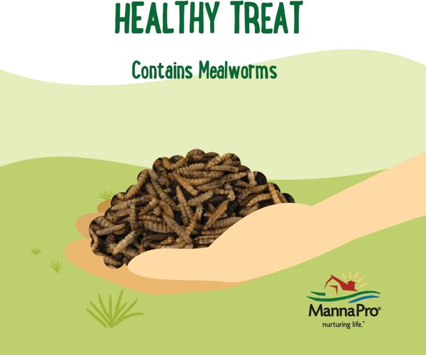 Show full view: Manna Pro Farmhouse Favorites Mealworms Chicken Treats, 10-oz bag slide 6 of 7